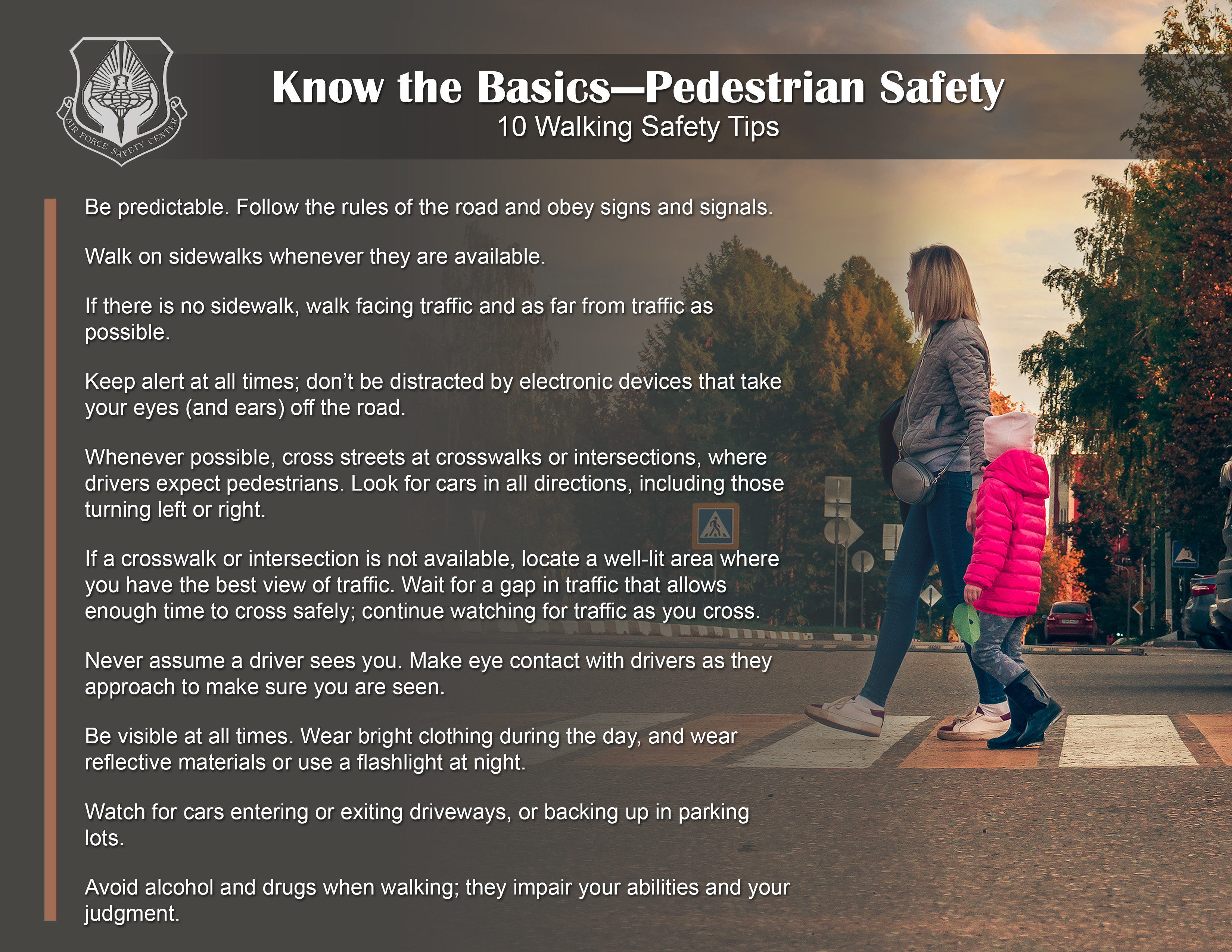 Pedestrian Safety Poster